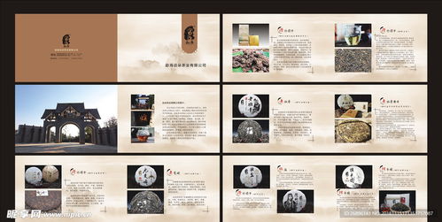 茶韻盡顯 專業(yè)茶葉產(chǎn)品畫(huà)冊(cè)設(shè)計(jì)圖代理代辦服務(wù)